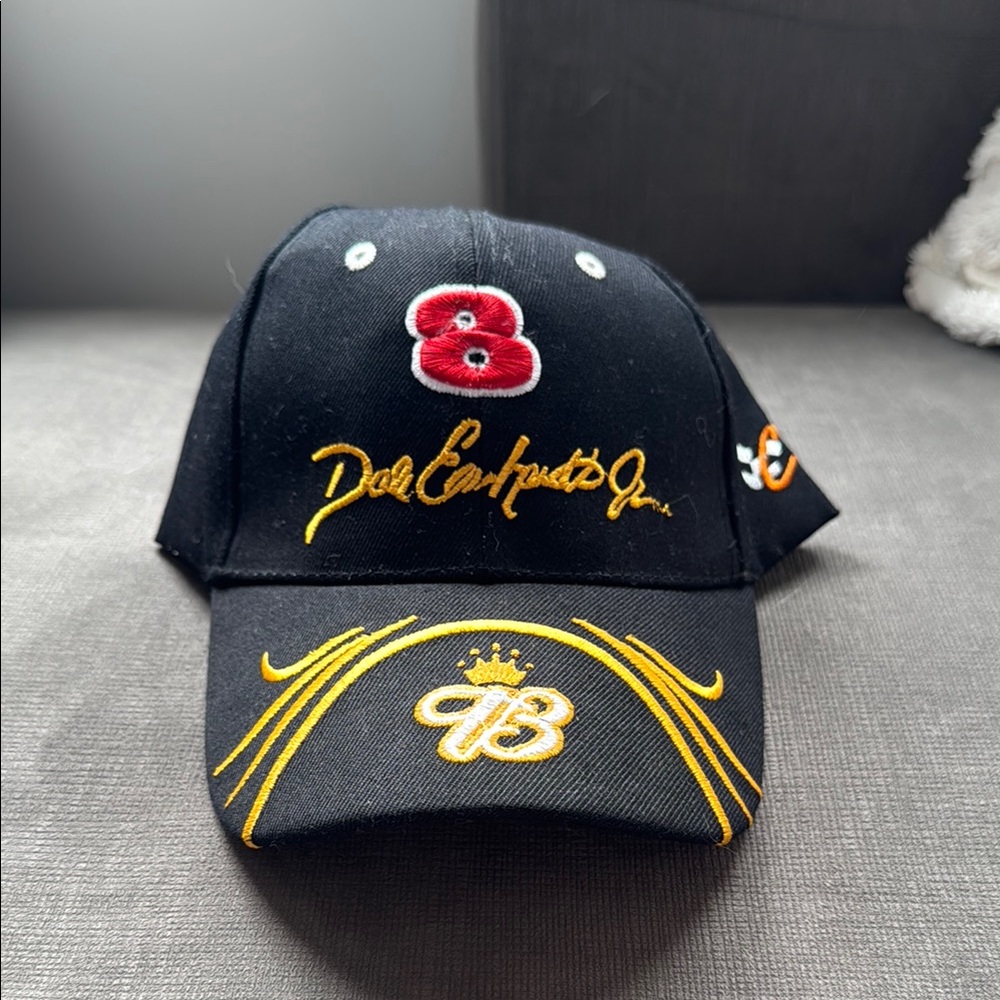 Vintage Dale Earnhardt Jr Hat / Velcro / Budweiser / Nascar